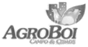 Logo AgroBoi