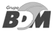 Logo Grupo BDM